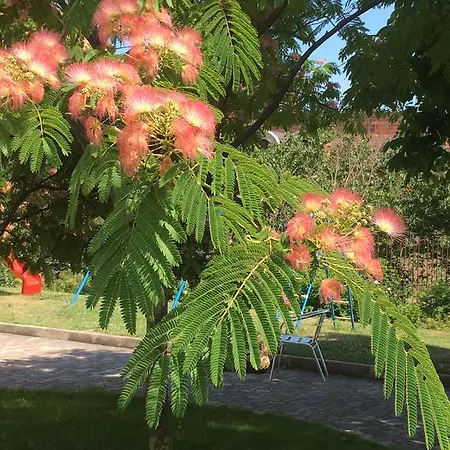 Sea Park Homes Neshkov Appart hôtel Varna