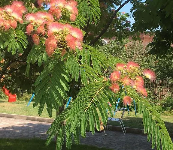 Sea Park Homes Neshkov Aparthotel Warna